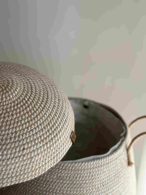 سبد خمره ای زبرا